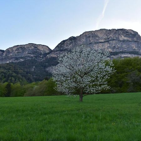 Gasthof Wieser Аппиано-Сулла-Страда-дель-Вино Экстерьер фото